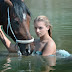  Top 5 Horse Swimming Spots in the World 