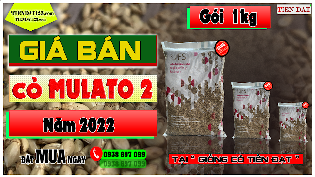 Giá cỏ mulato 2 gói trọng lượng 1kg