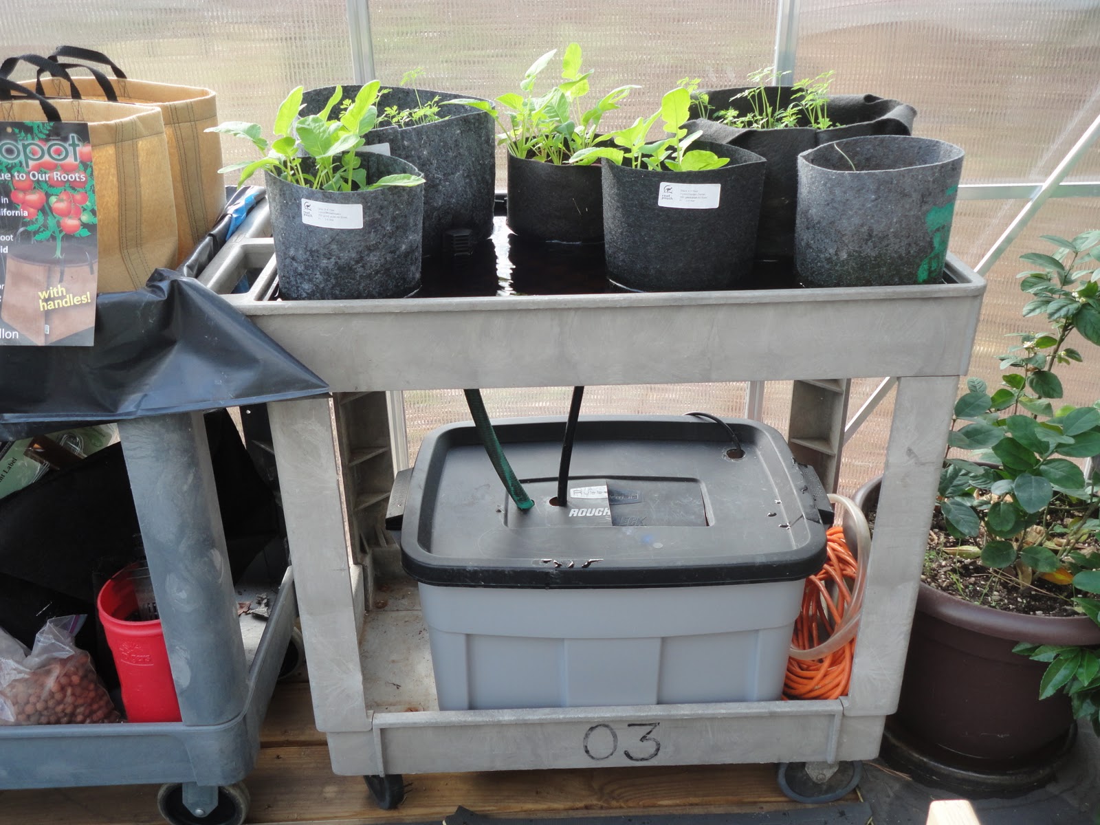 DIY Hydroponics Flood and Drain Table