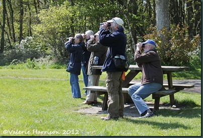 5-West-Galloway-SOC