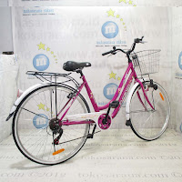 City Bike Evergreen Sakura 7 Speed 26 Inci