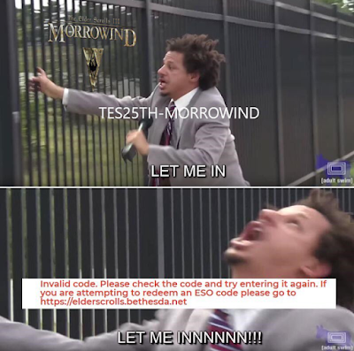 Morrowind Invalid Code Meme