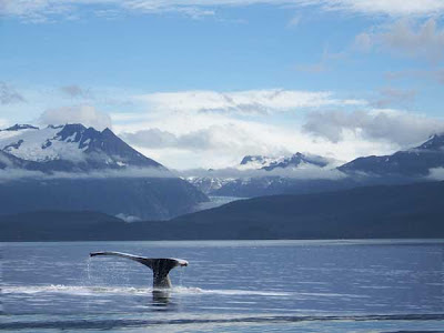 Celebrity Alaska Cruises on Cruise With Christine Pappin  Celebrity Cruises 2013 Alaska Deployment