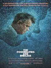 Watch Online Full The Possibilitis are Endless(2014) English Movie