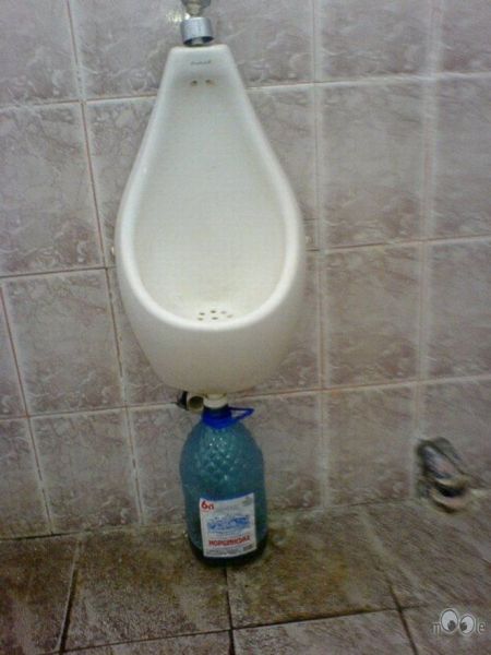 100 Unusual toilets Curious Funny Photos Pictures