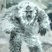 Yeti