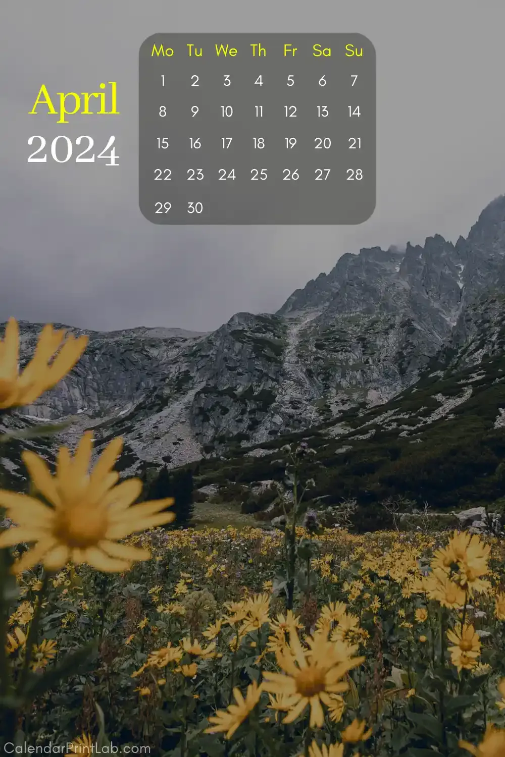 iPhone 2024 Nature Calendar Wallpaper