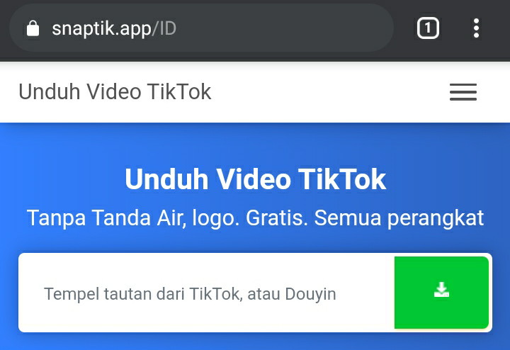 Menghilangkan Tulisan Tiktok