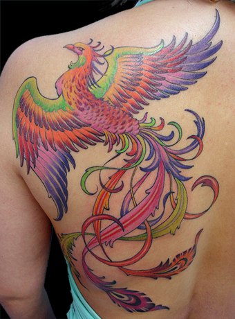 Fenix tattoo tatuagem fenix