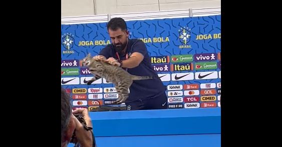 Netizen: Brasil Tersingkir di Piala Dunia Gegara Usir Kucing Saat Jumpa Pers