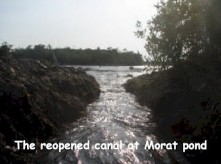 Photo of a canal and flowing water