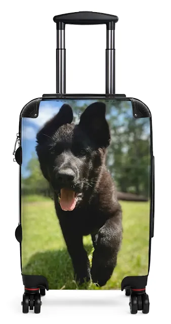 Travel Suitcase With European Solid Black German Shepherd Walking On a Grass