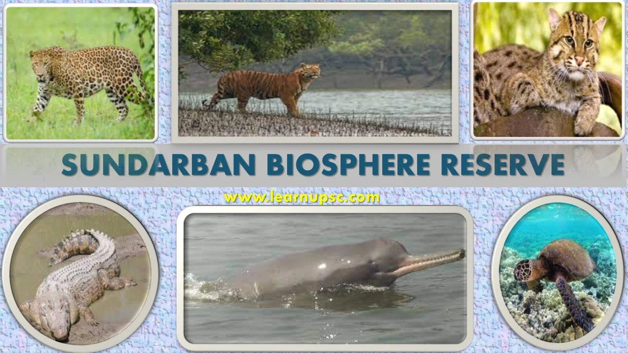 Sundarban Biosphere Reserve