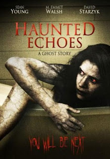 Haunted Echoes