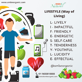 Lifestyle(way of living)