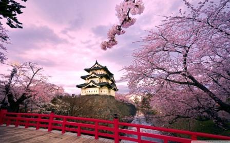 During March and April is Cherry Blossom Season in Japan