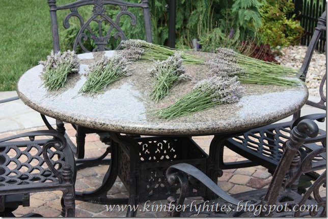 lavender (7)