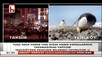 penguen gezi parkı