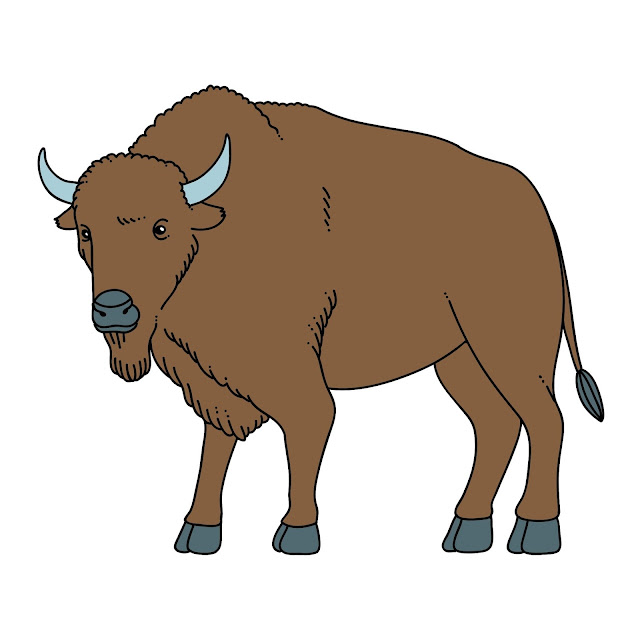 25+ Free Cartoon Images of Bison animal