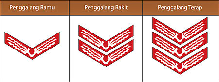 Program Kerja Tahunan Pramuka