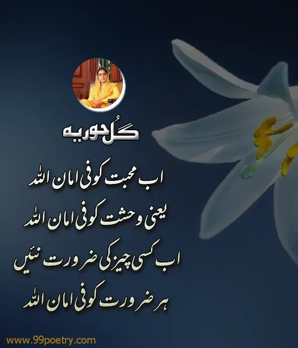 Ab Mohabbat Ko Fe Amanullah - Gul Hooria New Latest  Urdu Ghazal -Muhabbat Poetry