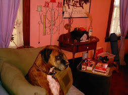 King of the couch