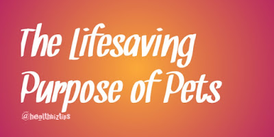 The Lifesaving Purpose of Pets