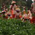 Agro Edukasi Villa Bukit Hambalang | Villa Bukit Hambalang Sentul