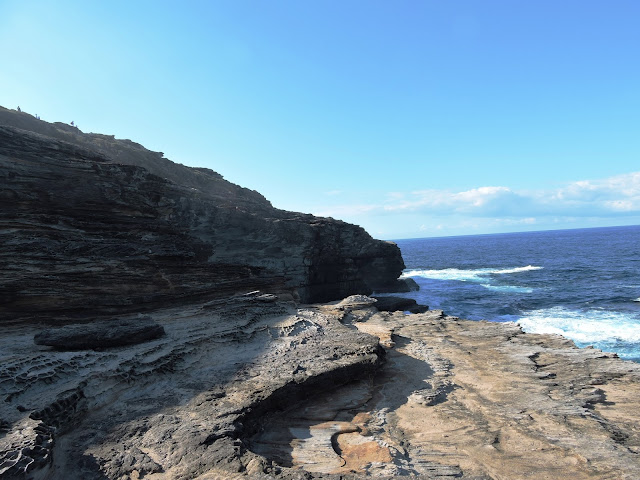 Sydney South Coastline