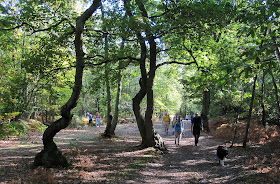 Orpington Field Club walking through Farningham Wood.  2 October 2011.