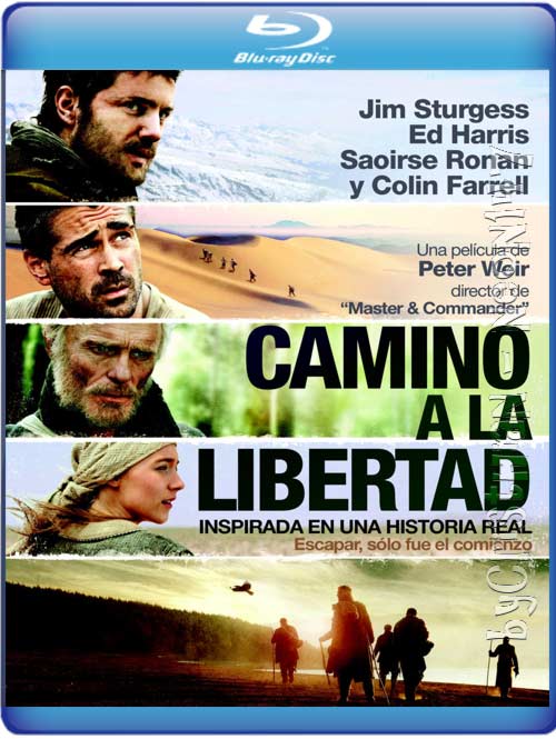 Camino A La Libertad. Camino A La Libertad