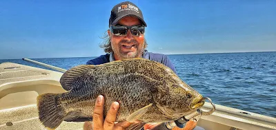 William Toney of Homosassa Inshore Fishing with a tripletail fish