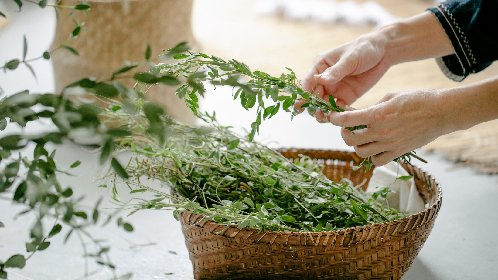 Zdrowe zioła: rozmaryn, oregano, mięta – naturalne wsparcie dla zdrowia i urody.