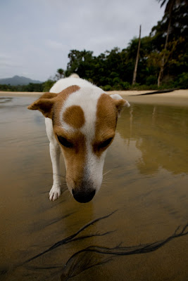 obtuseworks: Sierra Leone