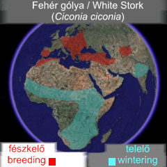Elterjedés / Distribution