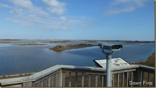 Pea Island NWR_065