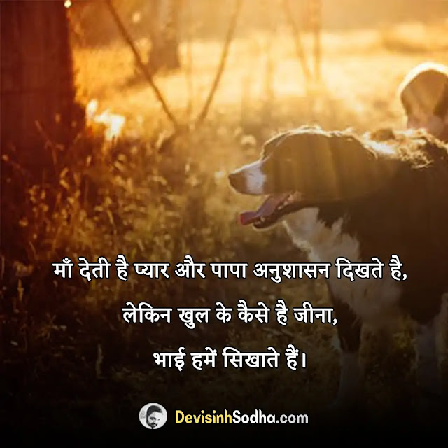 brother bhai shayari in hindi, छोटे भाई के लिए शायरी, बड़े भाई पर शायरी, बड़े भाई के लिए स्टेटस इन हिंदी, भाई पर अनमोल वचन, भाई पर शायरी attitude, भाई पर शायरी 2 लाइन, छोटे भाई की तारीफ शायरी, भाई भाई के लिए शायरी इन हिंदी रवैया, भाई की याद में शायरी