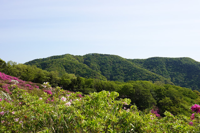 島根県松江市美保関町美保関 五本松公園からの眺望