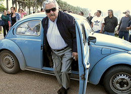 mujica-maggiolino