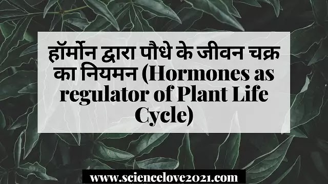 हॉर्मोन द्वारा पौधे के जीवन चक्र का नियमन (Hormones as regulator of Plant Life Cycle)|hindi