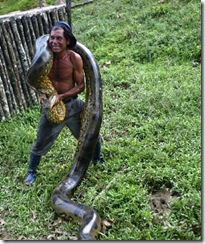 anaconda-gigante2-06