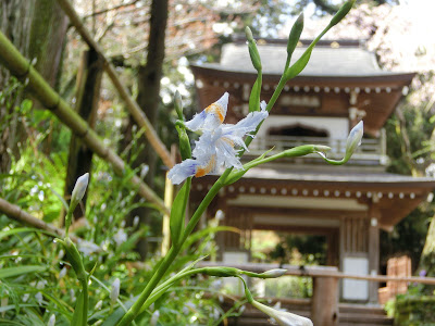  浄智寺