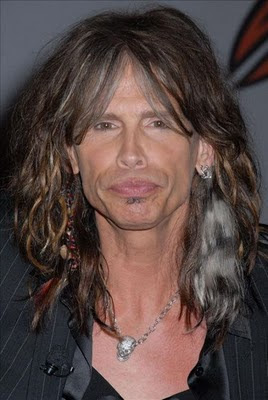 steven tyler fall