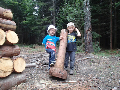 Orawa, Lipnica Wielka, Babia Góra