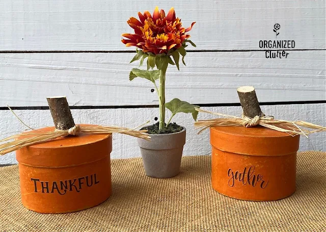 Photo of two Dollar Tree round boxes repurposed as fall pumpkins