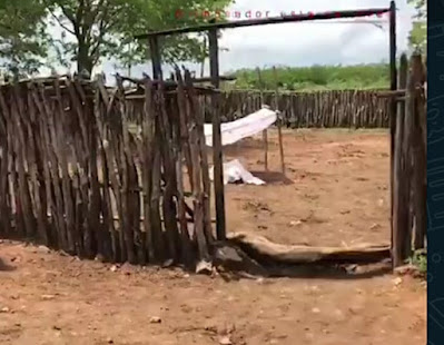 Nova Russas: Agricultor é assassinado a pauladas na localidade Onça, zona rural do município
