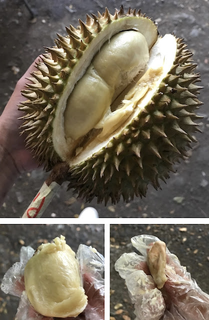 Menikmati Berbagai Kuliner Unik di Festival Durian & Kuliner Bumi Khatulistiwa 2022