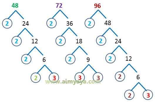  Gambar: FPB dari 48, 72 dan 96 (pohon faktor)