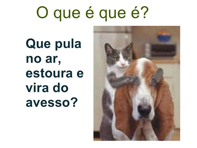 O que é que é?