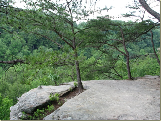 Hocking Hills around the camp site 2010 070